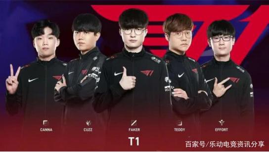 调整和适应 调整和适应